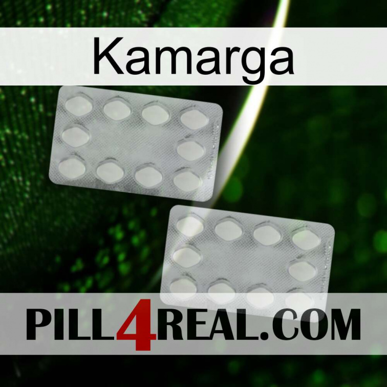 Kamarga 17